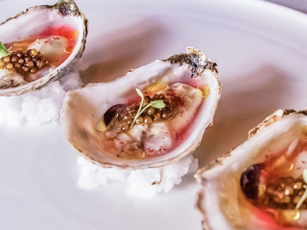 oysters guide