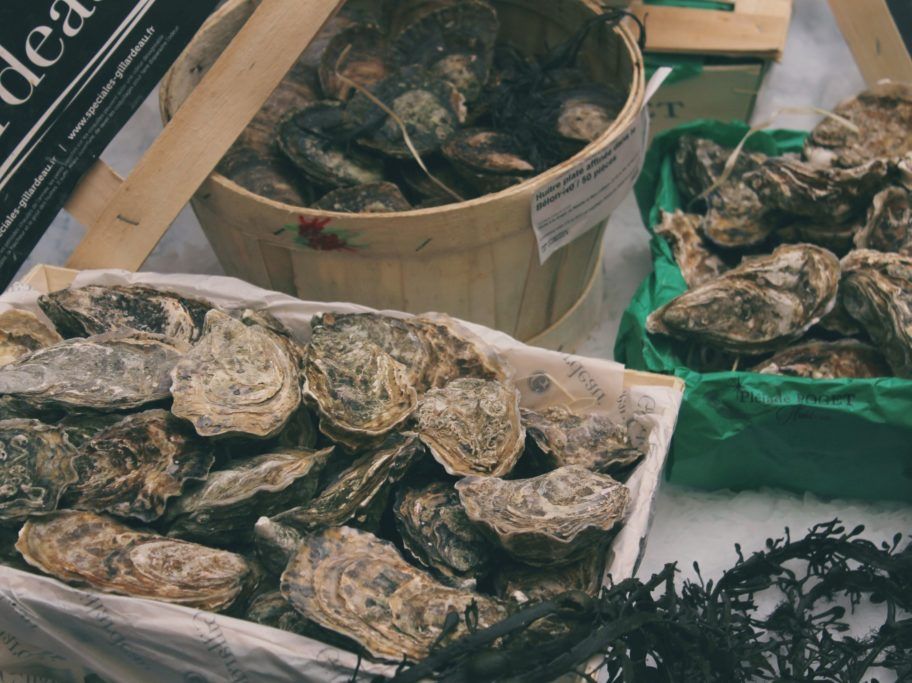 oysters guide