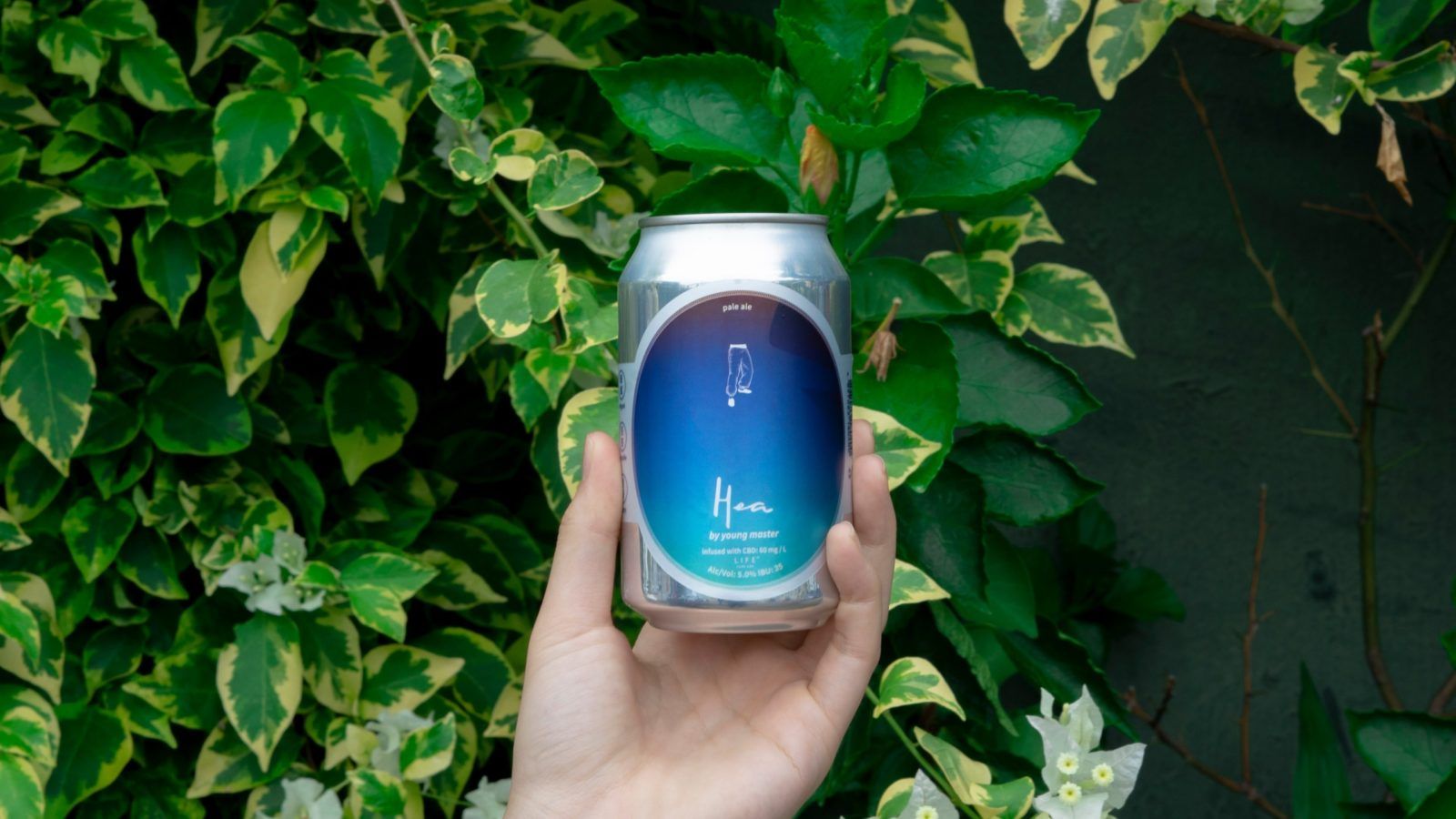 Where to find CBD beer in Hong Kong
