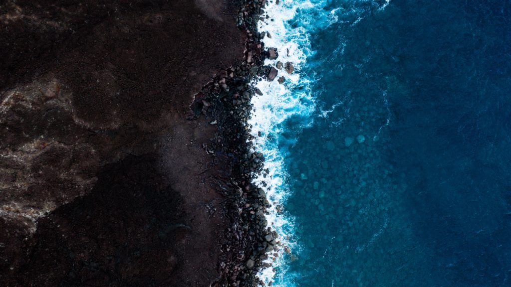 For Earth Day 2021, consider donating to these 10 worthy causes