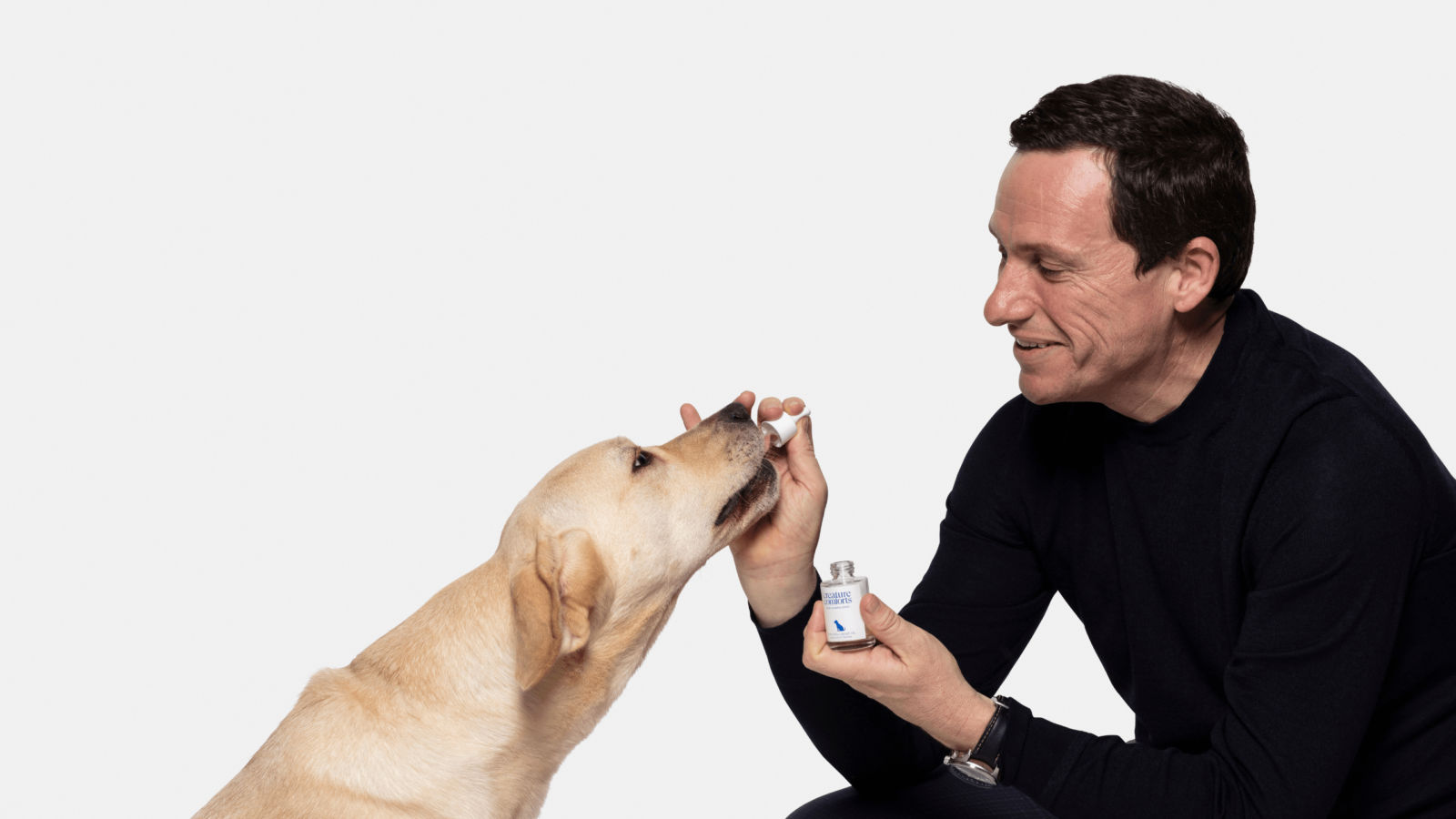 Everything you need to know about CBD for pets, according to veterinarian David Gething
