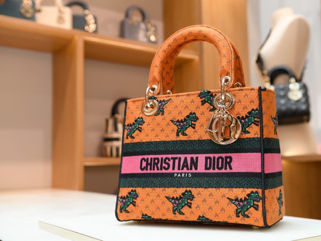 christian dior dinosaur bag