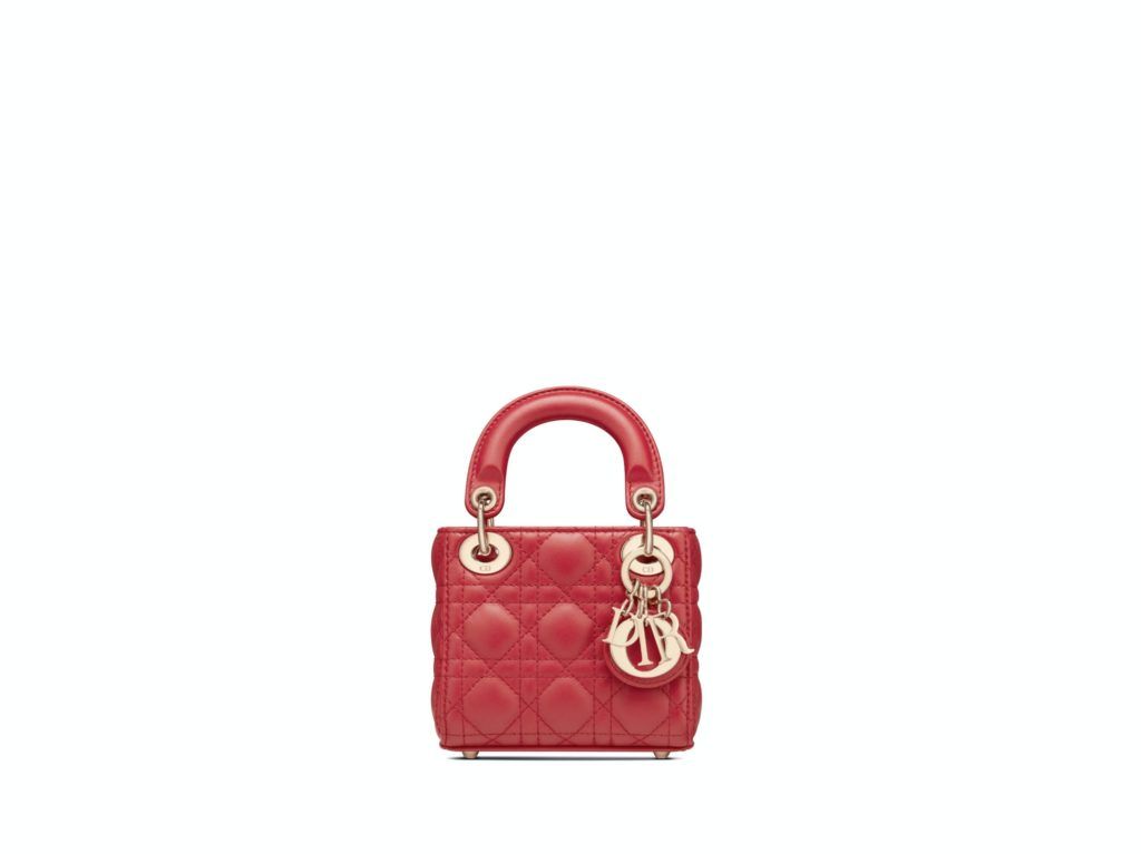 dior poppy bag