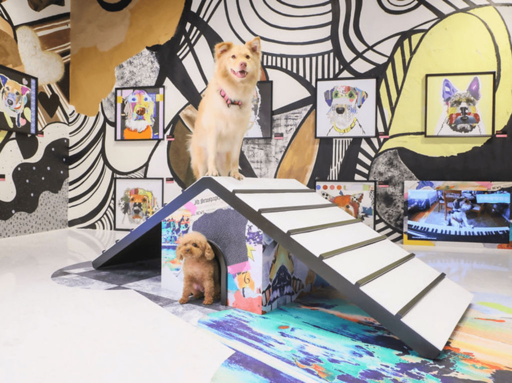 The Centric Dogcation