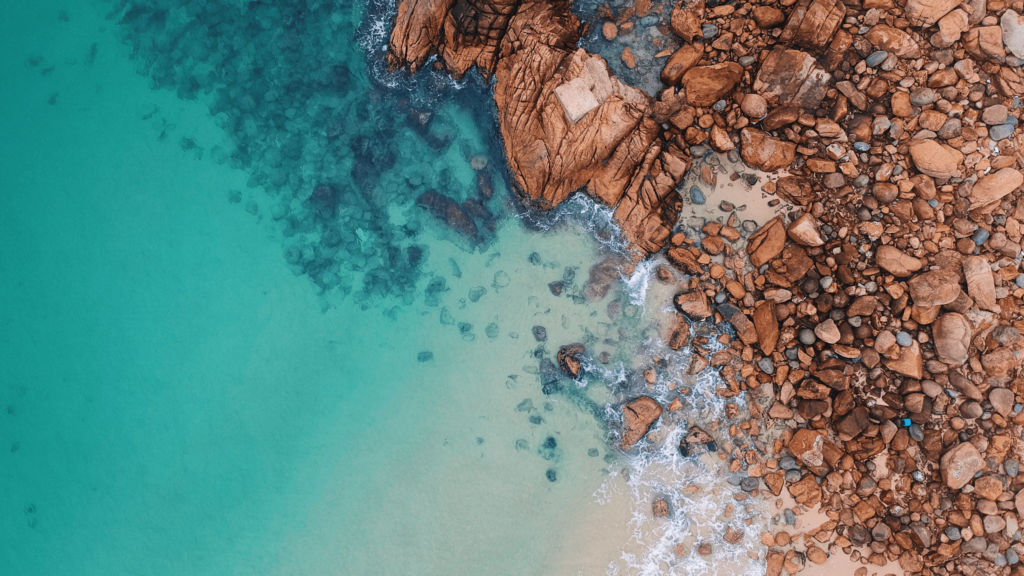 A guide to Hong Kong’s best marine parks