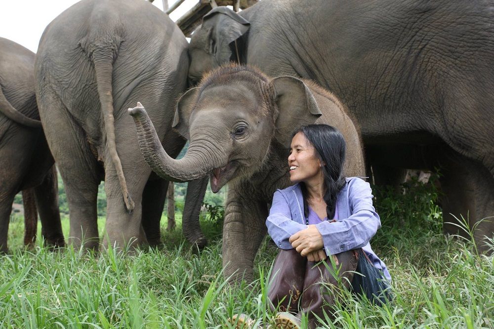 Phuket-Elephant-Sanctuary