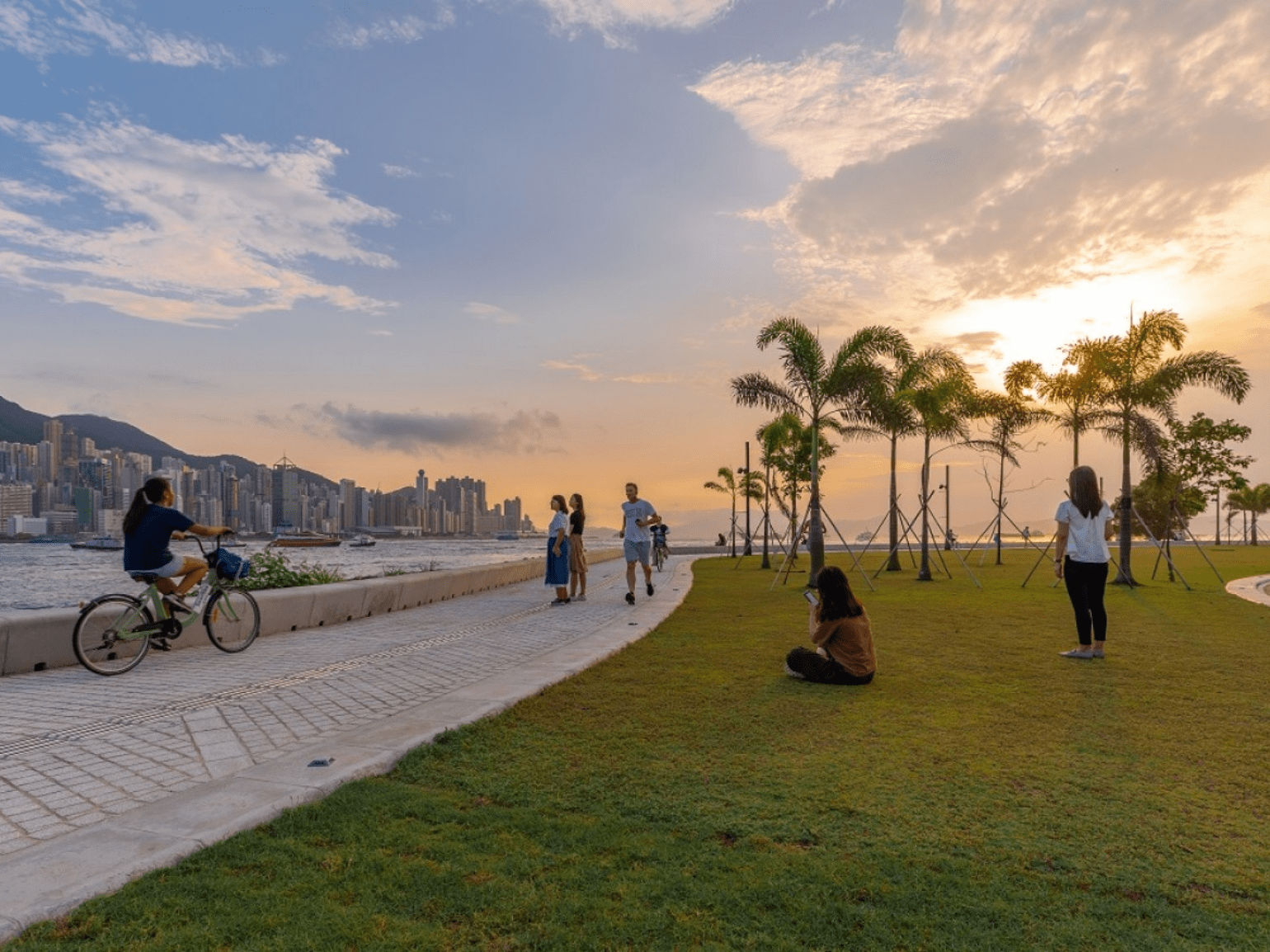 What to do in Hong Kong's West Kowloon Cultural District