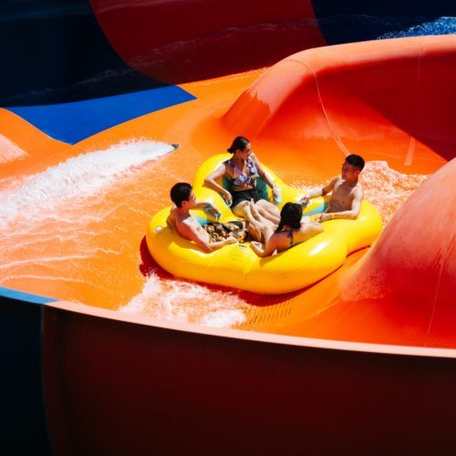 Our best insider tips for a great day at Water World Ocean Park