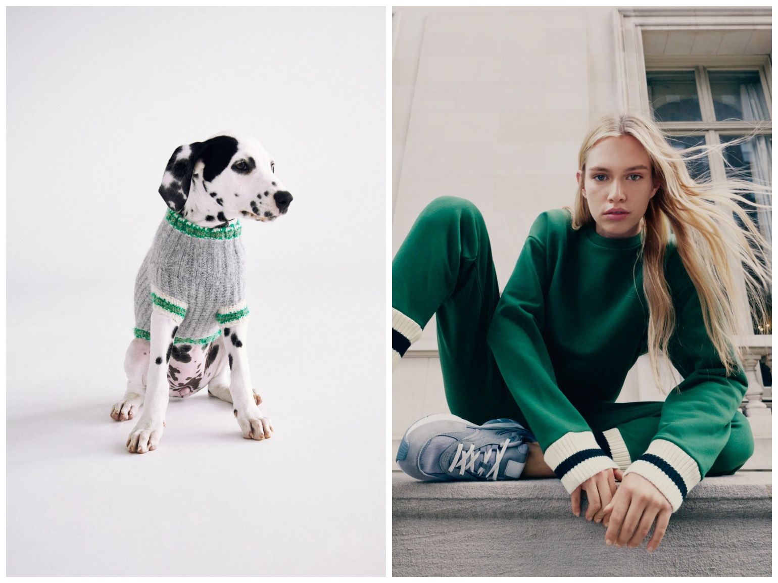 Our favourites from the new Zara Pet Collection Lifestyle Asia Hong Kong