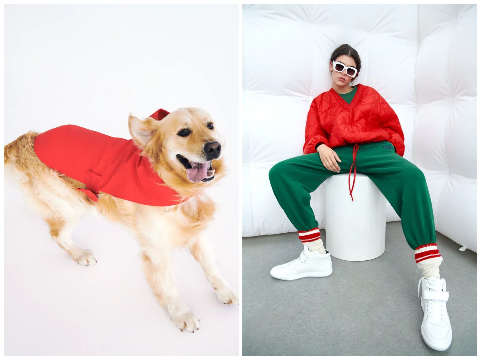 Our favourites from the new Zara Pet Collection Lifestyle Asia Hong Kong