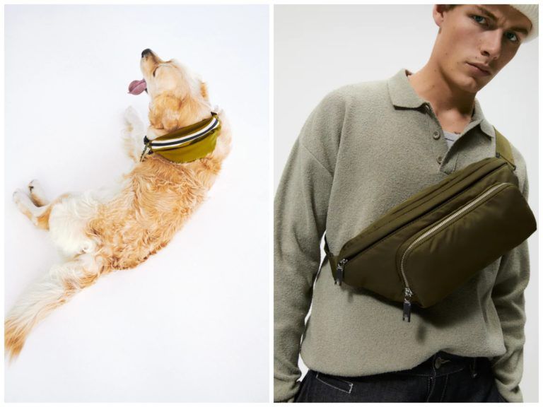 Our favourites from the new Zara Pet Collection Lifestyle Asia Hong Kong