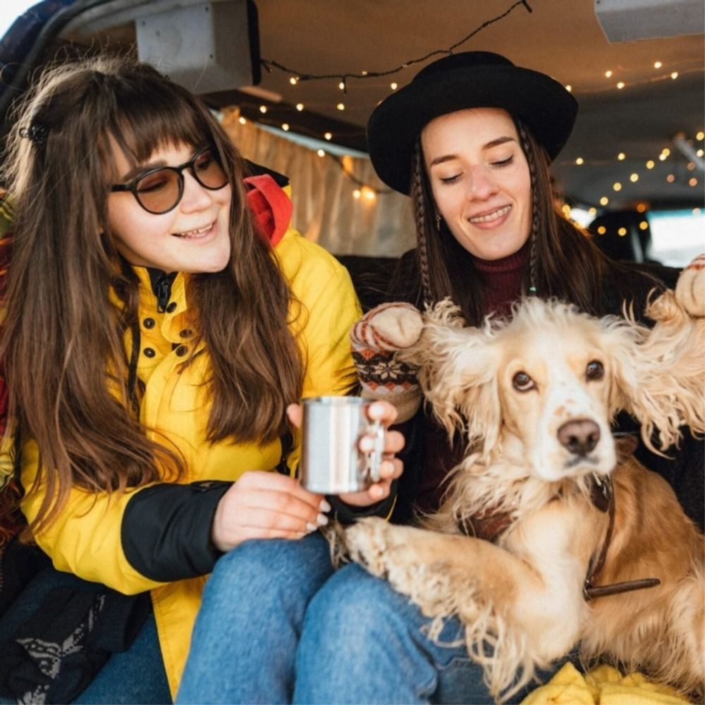 How pets can help improve your social life