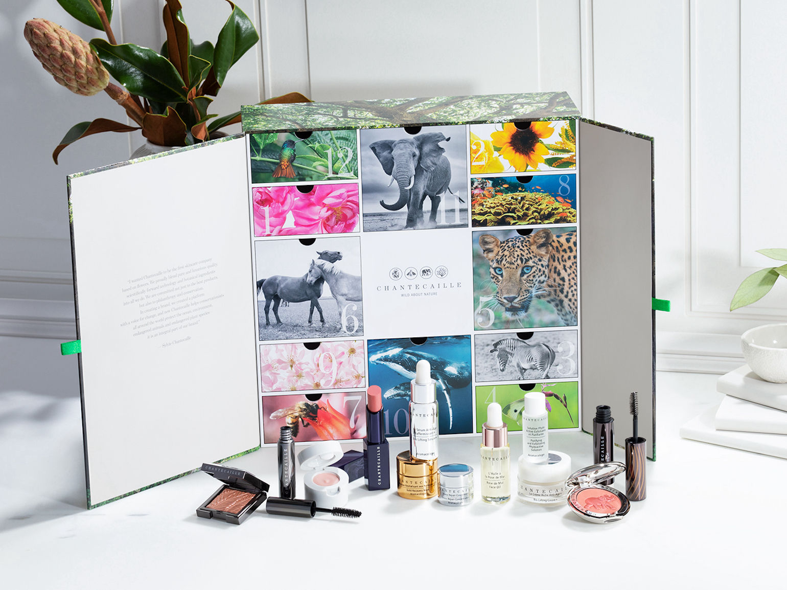 Best Luxury Beauty Advent Calendars to Buy Now