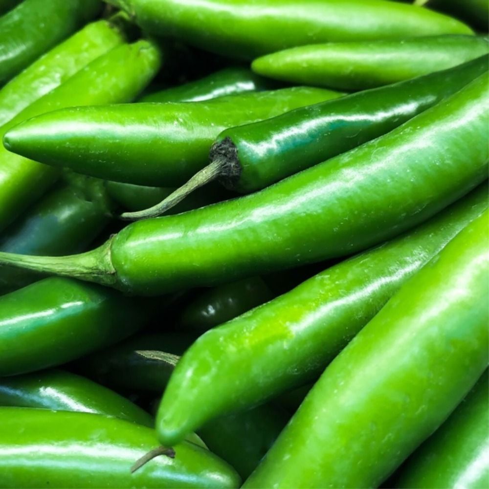 ISS astronauts have ‘taco night’ with peppers grown onboard the space station
