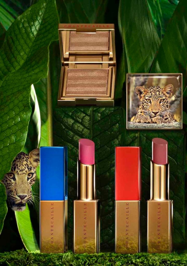 beauty brands that give back philanthropy charities chantecaille