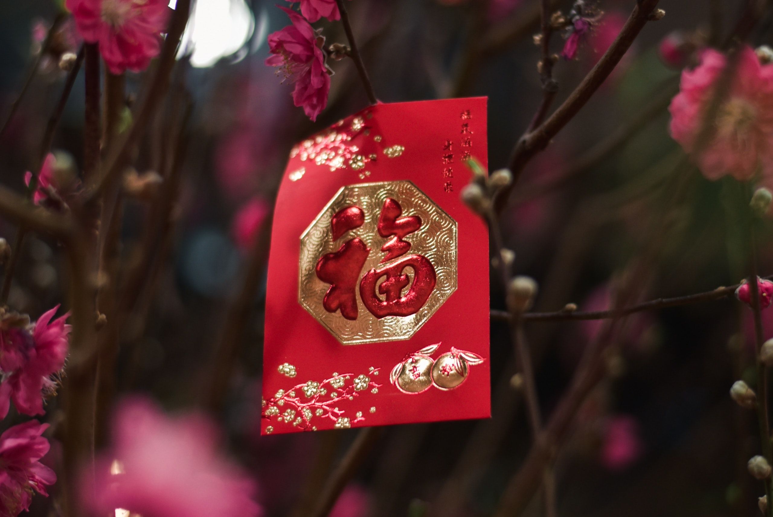 Chinese New Year in Hong Kong: Lunar legends, traditions and taboos