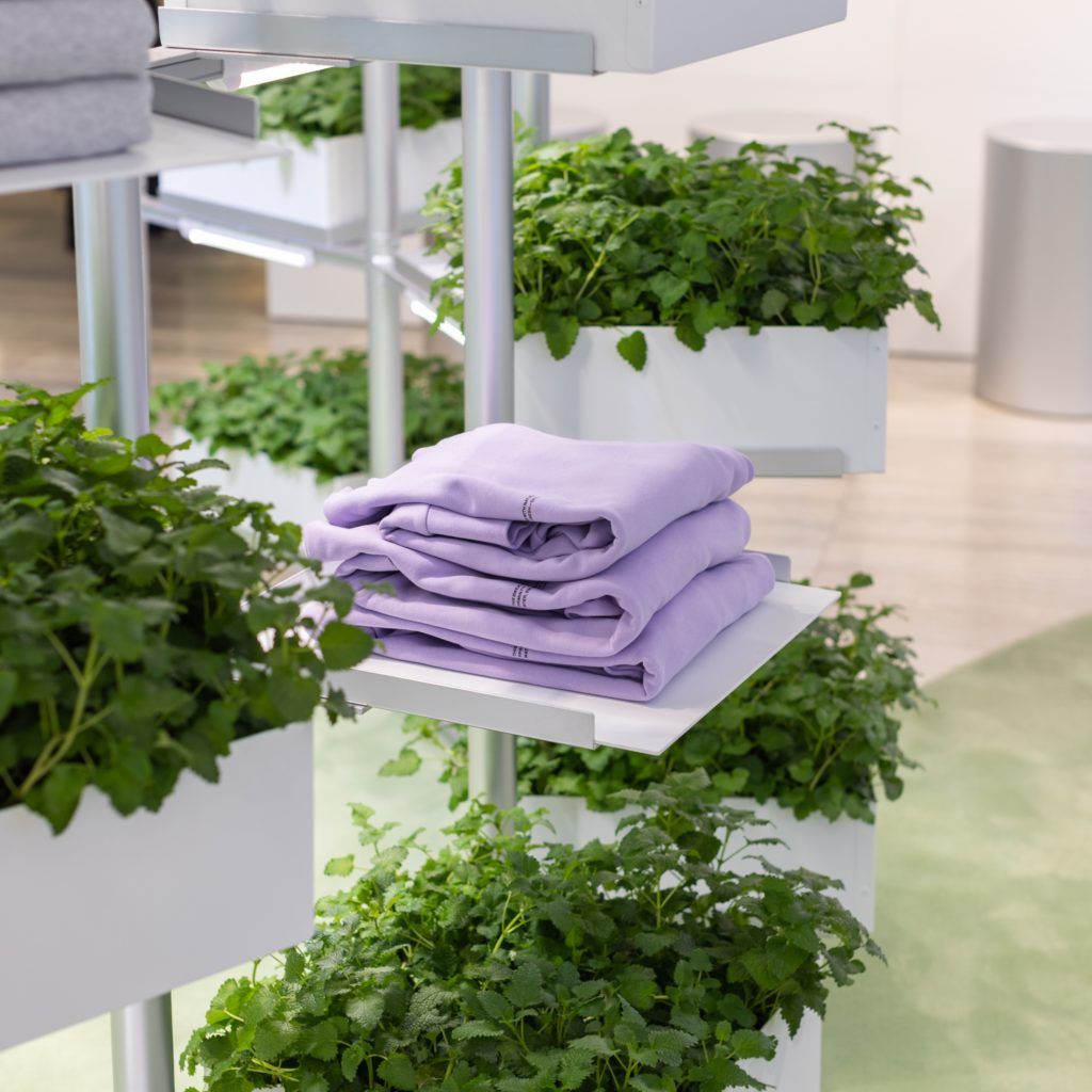 Weekend Dos: Lane Crawford’s PANGAIA pop-up, The North Face XX KAWS and more