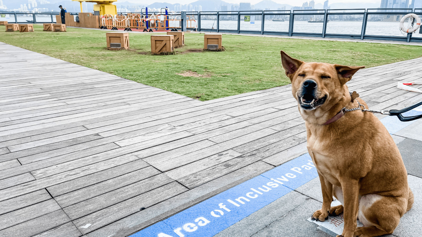 Inclusive Parks for Pets Dog owners can now walk from KTown to Central