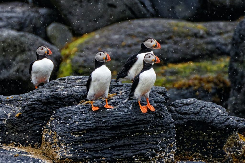 A guide to countries that have lifted quarantine requirements