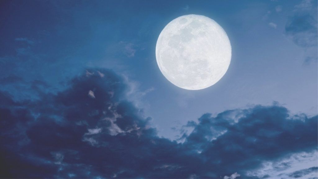Moon dust collected by Neil Armstrong sells for HK$ 39,55,825 at auction