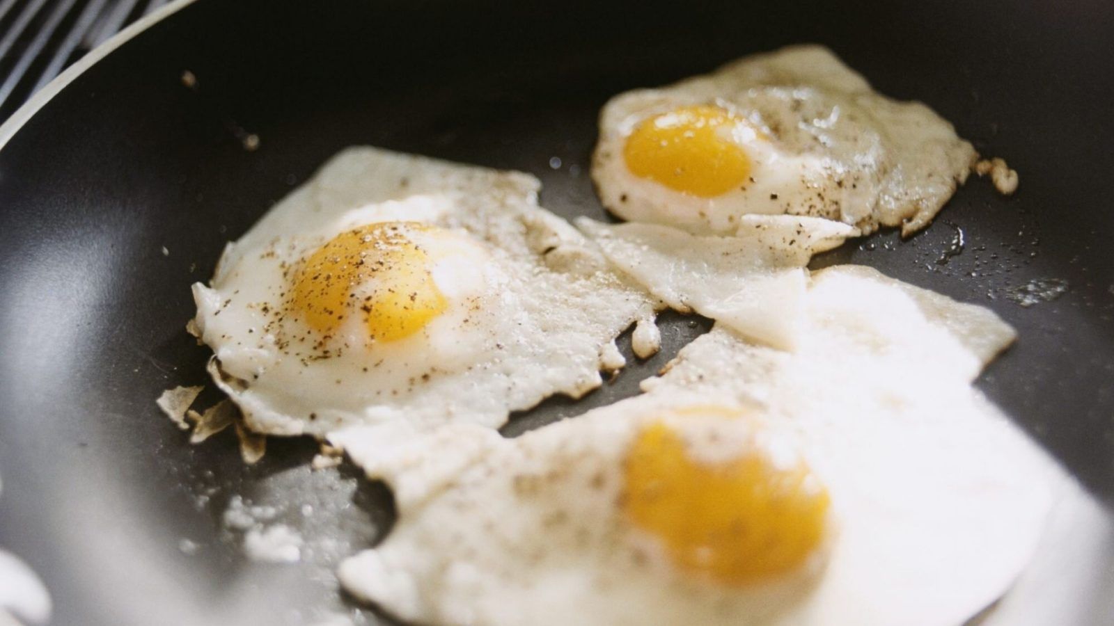 Eating one egg each day could decrease your risk of heart disease, new study suggests