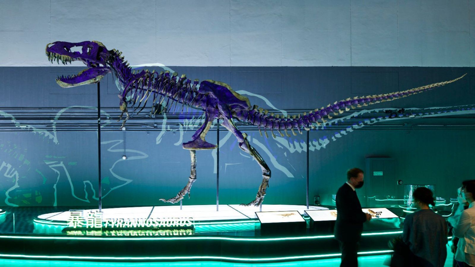 Dinosaurs Unleashed: 8 rare dino skeletons have roared into Hong Kong