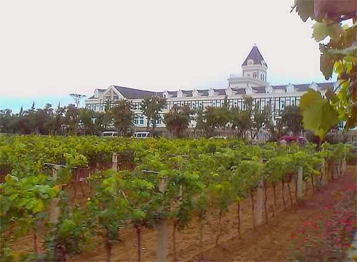 Changyu Pioneer Wine Company, China