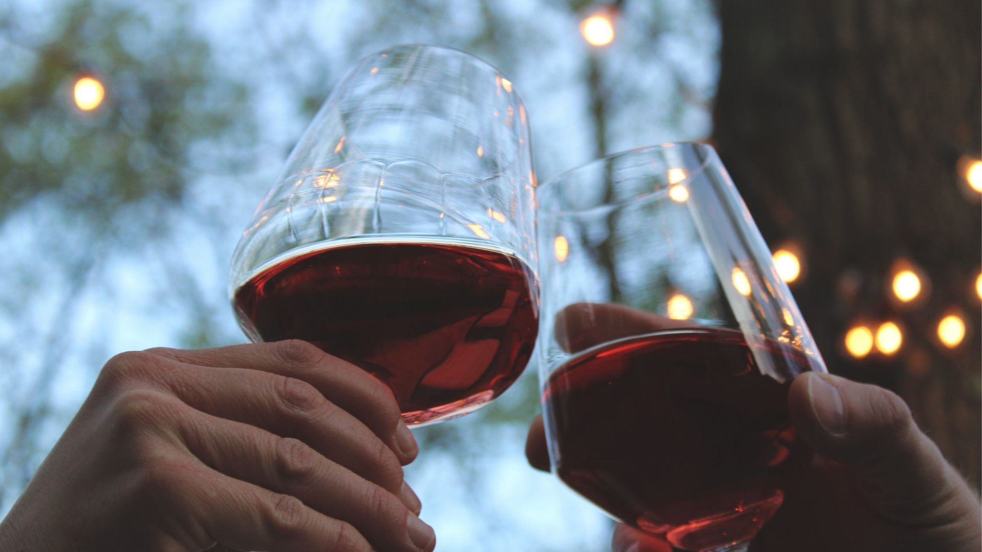 Red wine's health benefits: Why a glass a day keeps doctors away