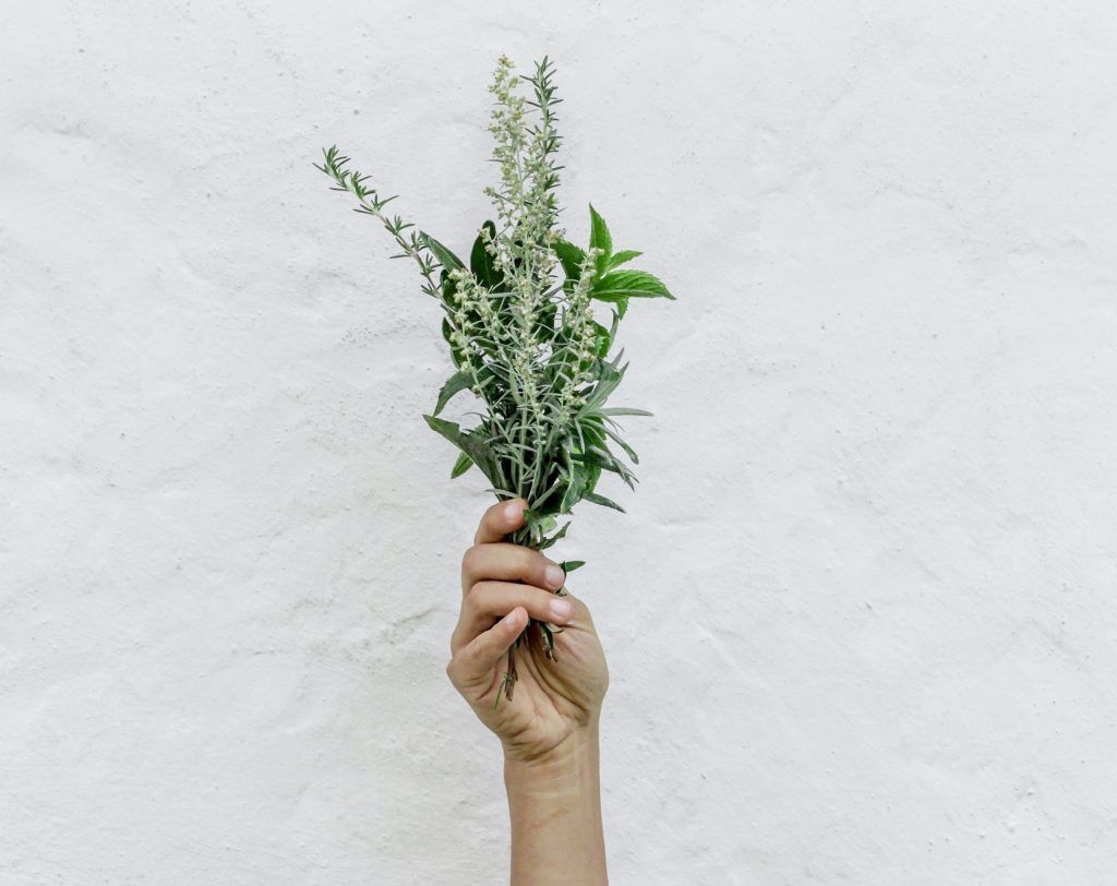 Real Talk: Does rosemary oil really support hair growth?