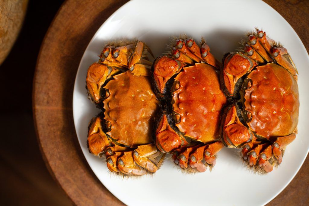 hairy crab 2022