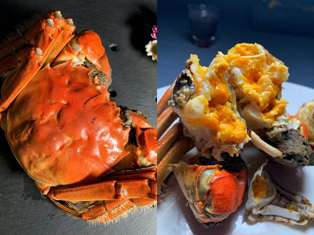 hairy crab 2022