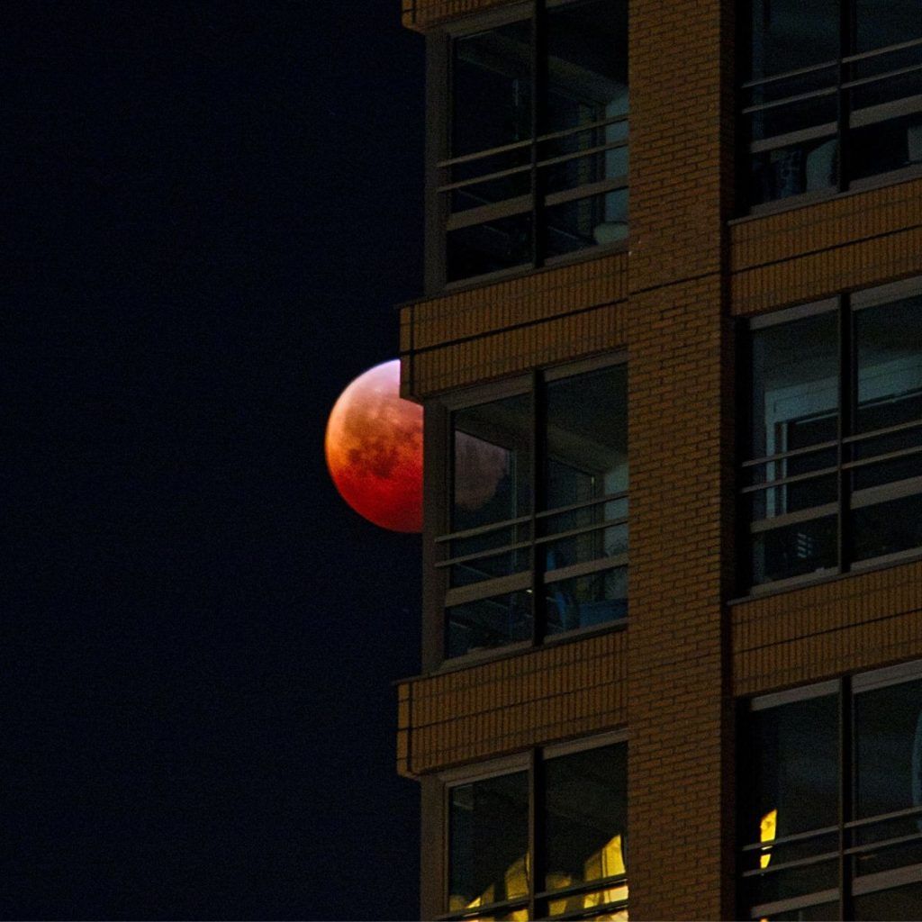 November 2022 lunar eclipse: What to expect and its effect on zodiac signs