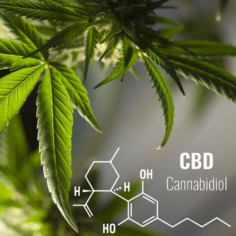 Possessing CBD products in Hong Kong will be illegal from February 1, 2023