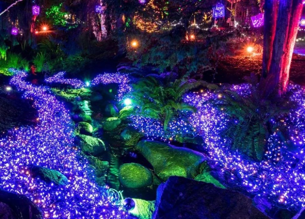 places-you-can-visit-to-watch-the-most-spectacular-holiday-lights-display