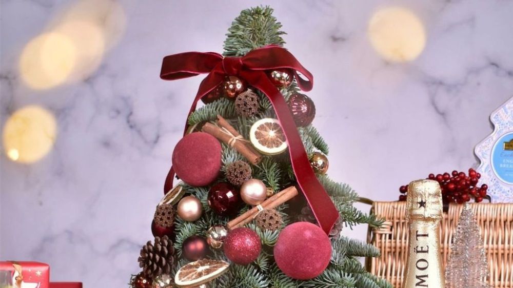 Christmas tree in Hong Kong Where to buy one?