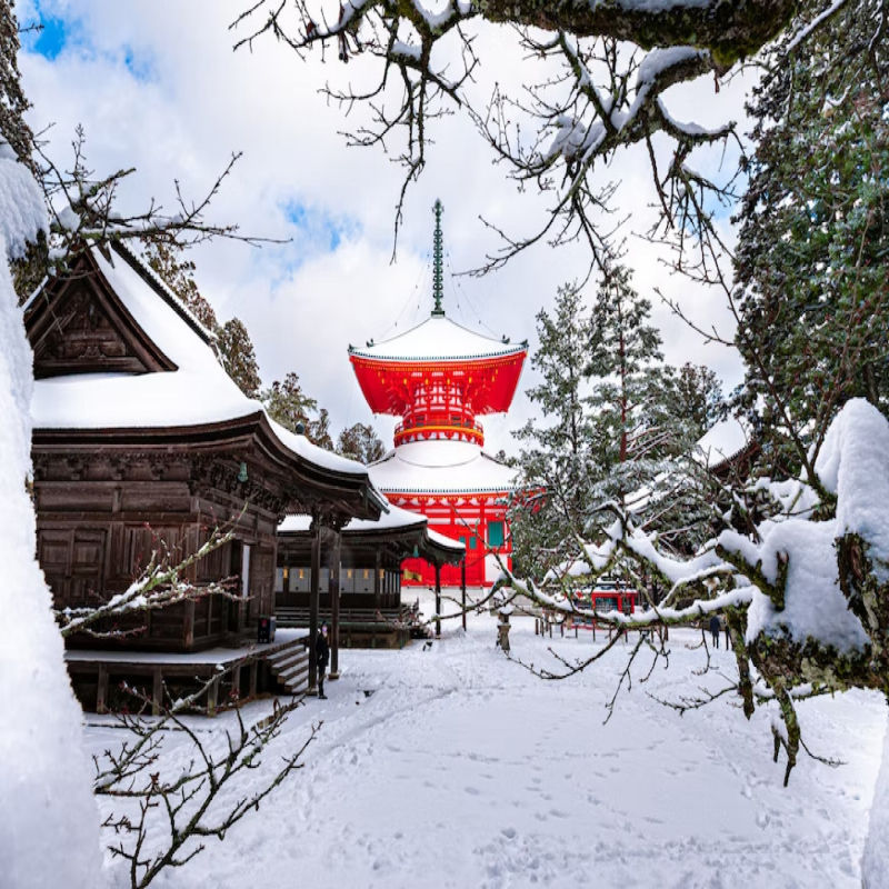 Visit these destinations in Asia this holiday season for a magical Christmas