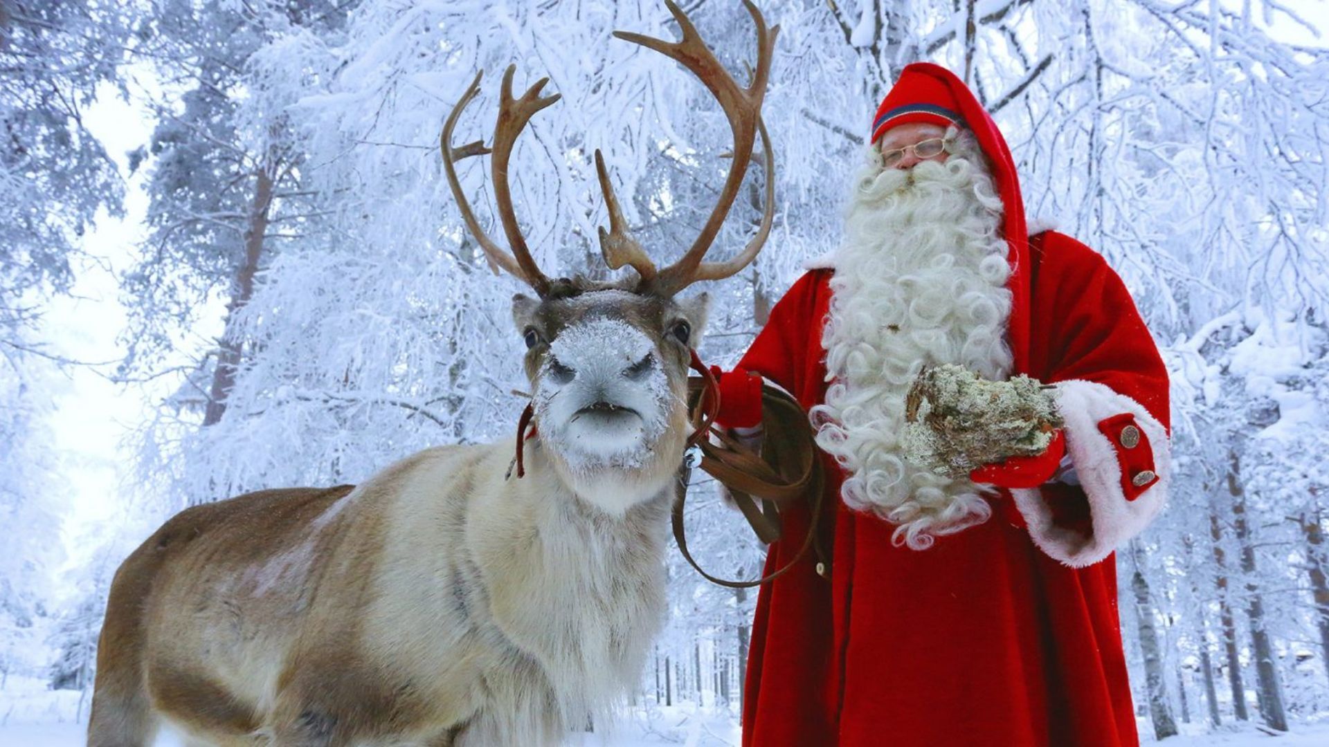 Santa Claus village- meet santa claus