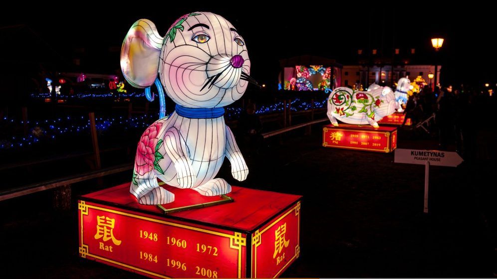 CNY 2023: Year of the Rabbit zodiac forecast - The Peak Magazine