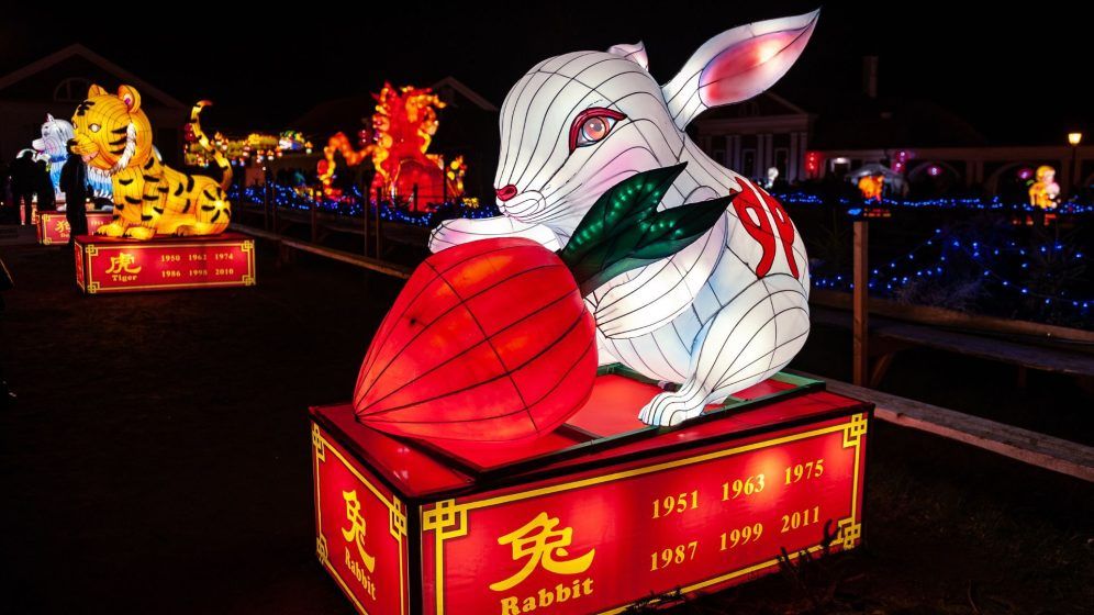 CNY 2023: Year of the Rabbit zodiac forecast - The Peak Magazine