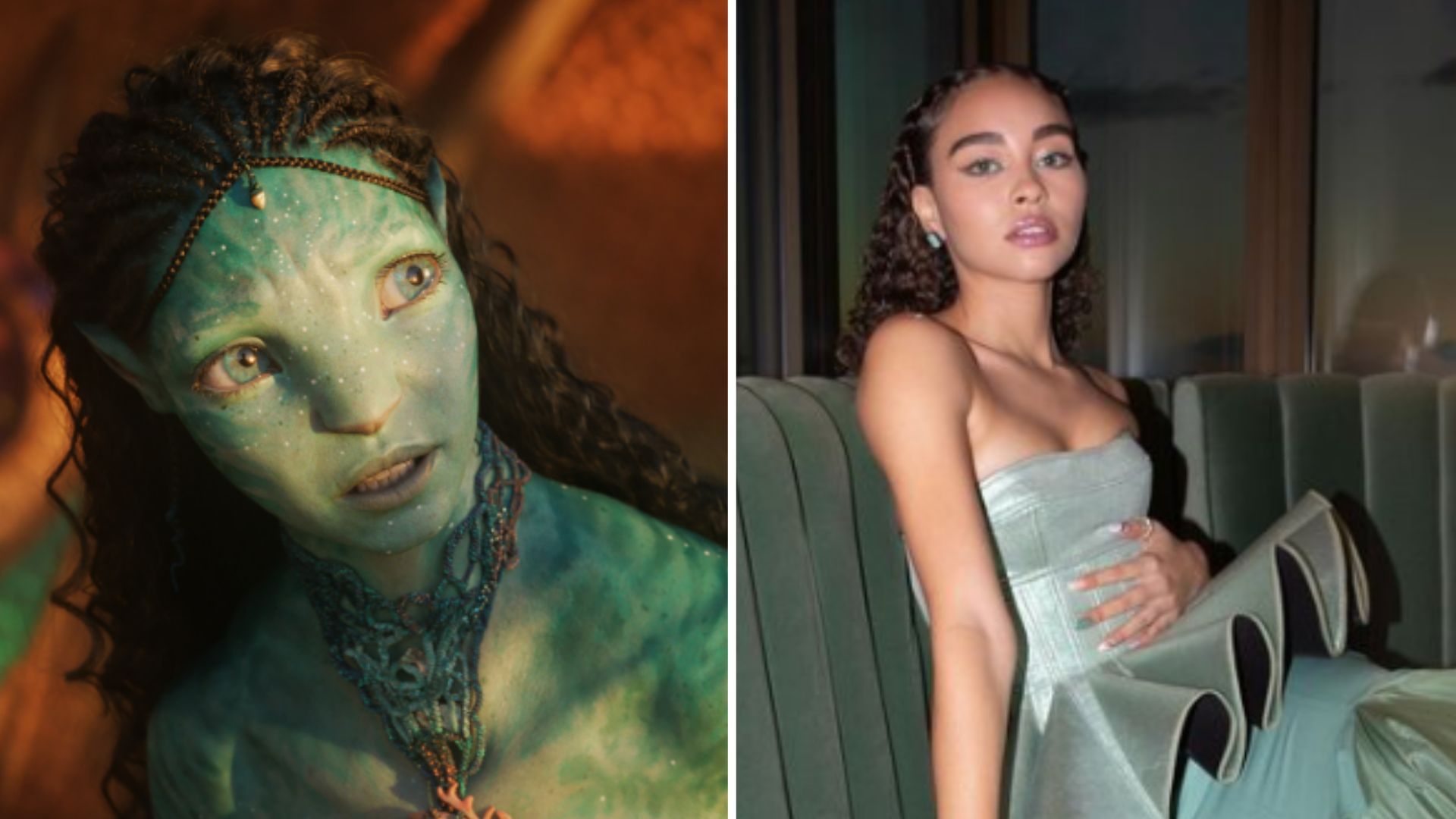 Avatar A Sequel Success The Lions Roar #9 Avatar A Sequel Success The Lions Roar