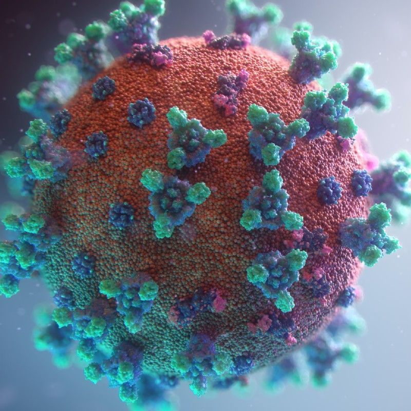 New Covid variant related cases surge across countries; follow IMA’s latest guidelines