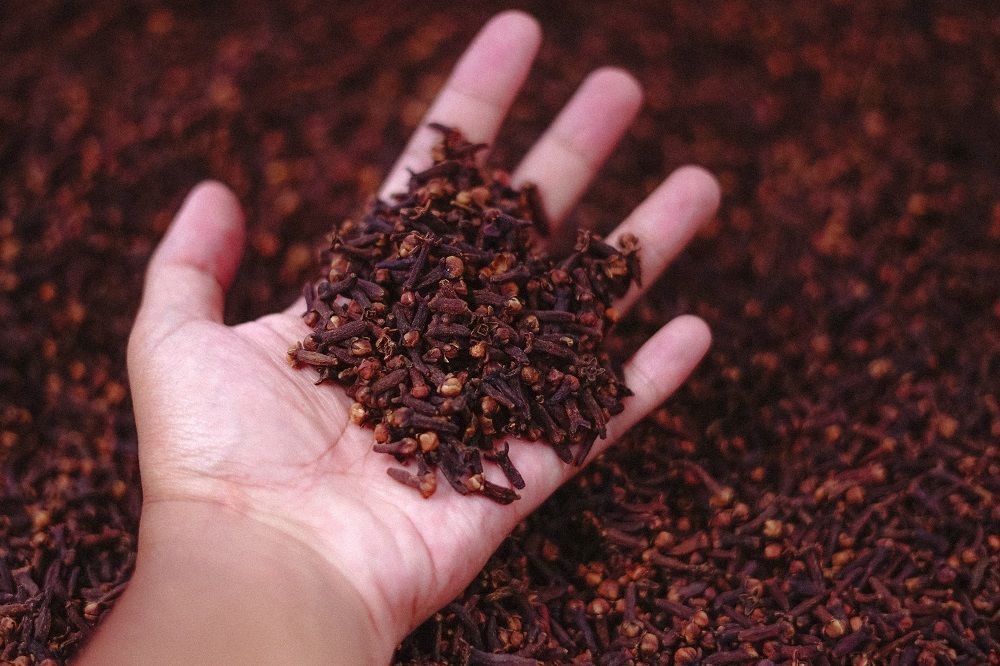 cloves for hair