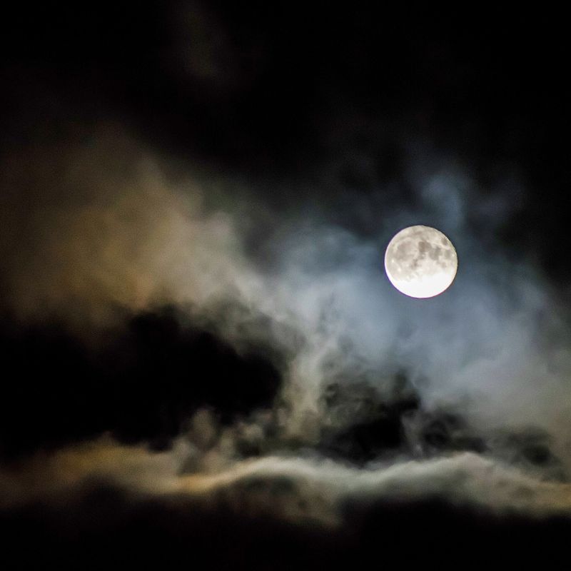 Wolf Moon 2023: How the full moon signals time of transformation and impacts the zodiacs