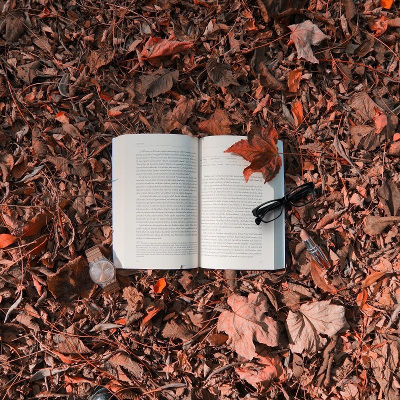 15 of the best detective novels every murder mystery lover should read right now