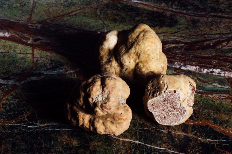 guide to truffles and why they are so expensive