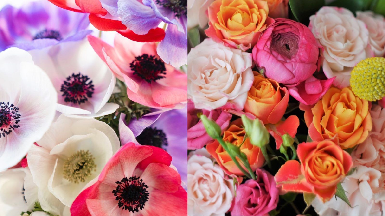 Unique flowers apart from roses that make for a unique Valentine's Day gift