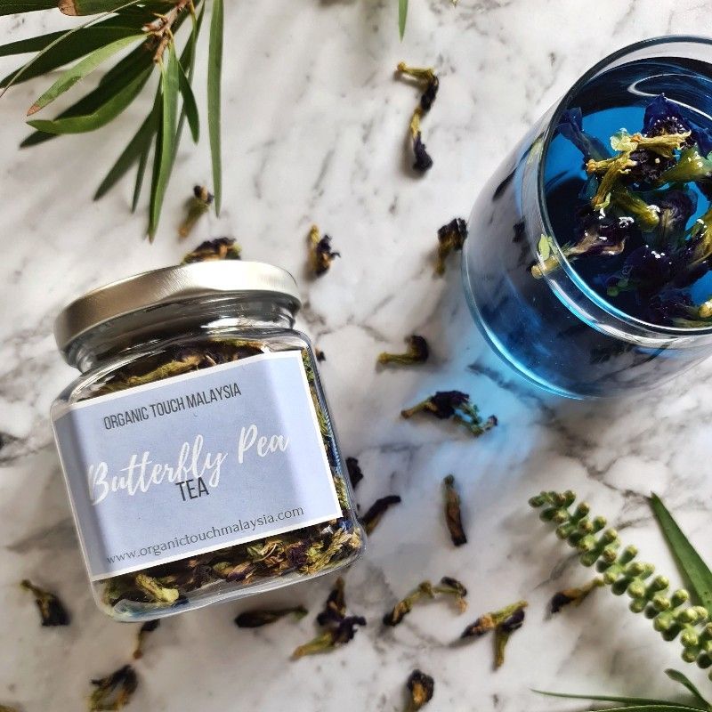 Blue tea: 6 health benefits of the butterfly pea flower beverage