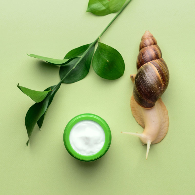 Snail mucin: See how this buzzy ingredient can help your skin