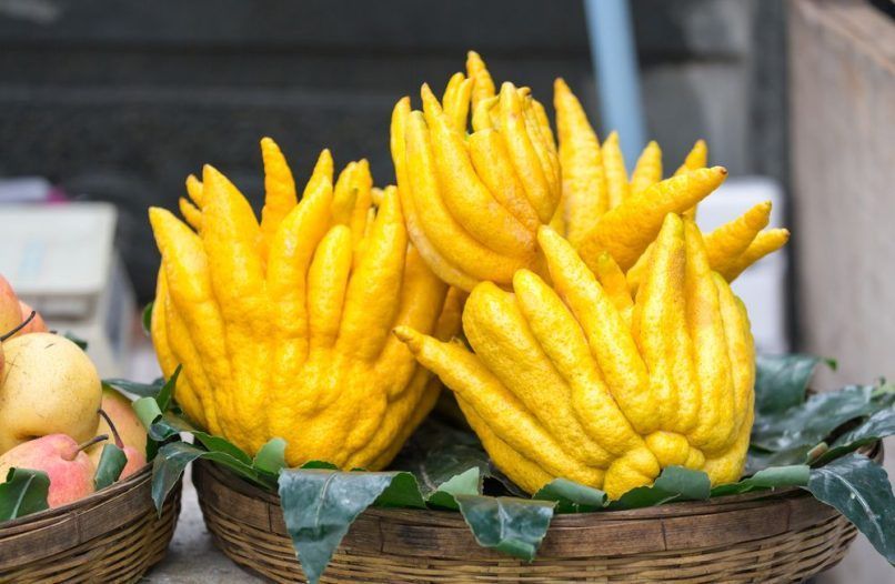 Exotic fruits in India