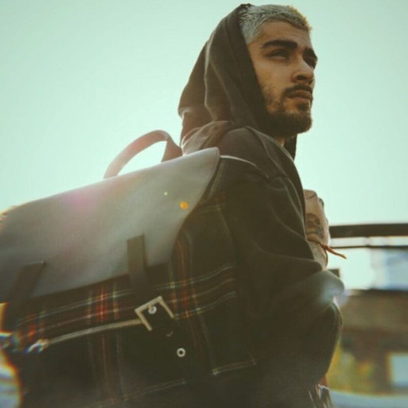 Zayn Malik net worth- brand endorsements